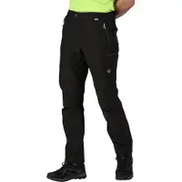 Regatta Highton Shorts Noir 34 / Long Homme