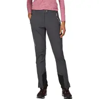 Regatta Mountain Iii Pants Gris 36 / Regular Femme