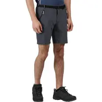 Regatta Short de randonnée Xert III