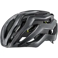 Giant Casque Rev Pro Mips
