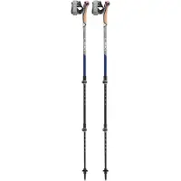 LEKI Traveller Carbon Poles Argenté 90-130 cm