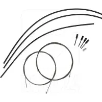 Campagnolo Cg-frd700 10-12s Shift Cable Kit Noir