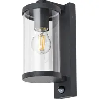 Rabalux Luminaire de façade anthracite avec détecteur de mouvement Silistra pour ampoule E27 7892