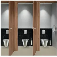 Delabie ensemble brosse WC. Montage mural avec cache. Acier inoxydable poli miroir