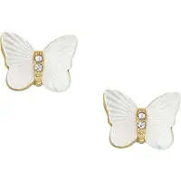 Fossil Bijoux Boucles d'oreilles, (Acier inoxydable)