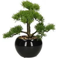 Atmosphera Jj070 36 Cm Deco Green Collection Artificial Plant Multicolore