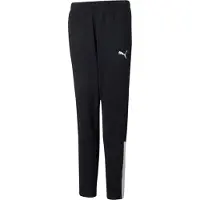 Puma Teamliga Training Pants Noir 9-10 Years Garçon