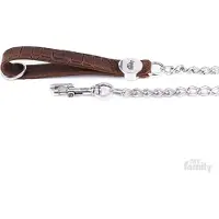 My Family Laisse Pour Chien Tucson Chain