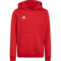 Adidas Entrada 22 Hoodie Rouge 11-12 Years Enfants