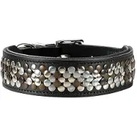 Hunter - Collier pour chien Arizona - 55 cm