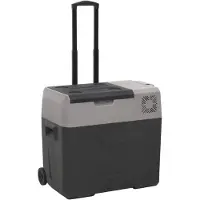 vidaXL Glacière avec roulettes et poignée Noir & Gris 50 L Polypropylène
