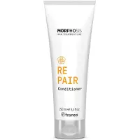Framesi Après-shampooing réparateur Framesi Morphosis 8,4 fl oz Hydrate et renforce les cheveux Ingrédients naturels Sans danger pour la couleur