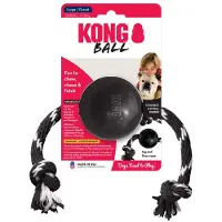 Kong Extreme Ball With Rope Toy Argenté L
