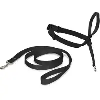 Nayeco Laisse Pour Chien Easy Walk Holder