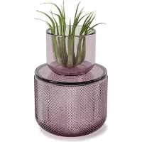 Umbra Pot en verre avec couvercle Allira violet
