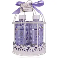 Accentra Set de bain LAVENDEL dans une cage à oiseaux, comprenant 210ml de gel douche, 210ml de lotion pour (Kit de soins capillaires, Set soin du corps)