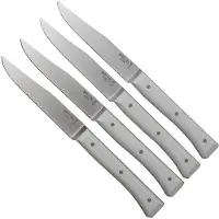 Opinel Ensemble De Couteaux 2499 00 4 Unités