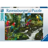 Ravensburger Puzzle Perroquets dans la Jungle - 2000 pièces