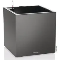 Lechuza Pot de Plante Lechuza 40x40x40 cm Noir - Conteneur de Jardin Premium