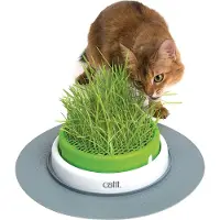 Catit Design Senses 2.0 Grass Planter Vert