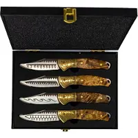 Homey's Schiffmacher Set de couteaux à steak 4 pièces