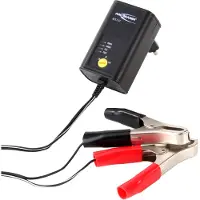 Ansmann ALCS 2-12/0.4 - Chargeur de batterie - 400 mA - 2 points de connexion de sortie (pince crocodile) - noir