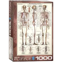 Eurographics Le squelette 1000 pièces puzzle