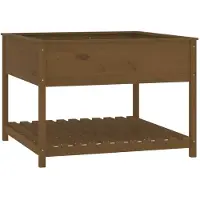 vidaXL Jardinière et étagère Marron miel 111,5x111,5x81 cm Bois de pin