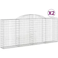 vidaXL Gabions avec arc surélevé 2 pcs. 300x30x120/140cm Fer galvanisé