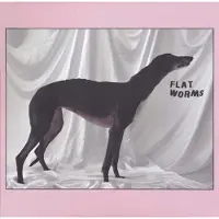 Sonic Flat Worms - Flat Worms [Vinyl]