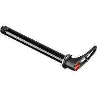 Dt Swiss Rws 10 Through Axle Argenté 15 x 100 mm