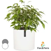 Fox & Fern Pot de fleurs Venlo polystone intérieur et extérieur 3 tailles