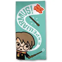 Merkloos Serviette de plage en coton Harry Potter (140 x 70 cm)