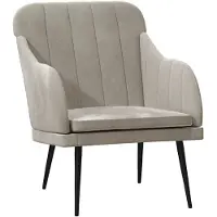 vidaXL Fauteuil gris clair 63x76x80 cm velours