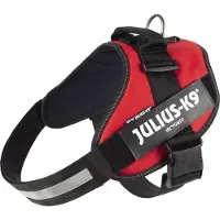 Julius-K9 Julius k9 Power-Kabelbaum / faisceau de câbles pour tags rouge
