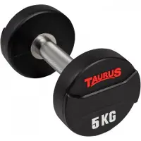 Taurus Haltère Taurus CPU 32,5 kg