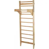Darwin Fitness Espalier Darwin