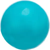 Trixie Grosse Balle Dure Caoutchouc 85 Mm