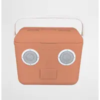 Sunnylife Glacière Sunnylife avec Bluetooth Speaker Melon