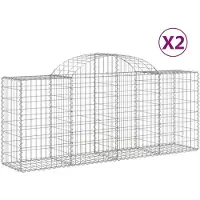 vidaXL Gabions avec arc surélevé 2 pcs. 200x50x80/100 cm Fer galvanisé