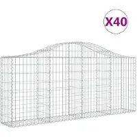vidaXL Gabions avec arc surélevé 40 pcs. 200x30x80/100cm Fer galvanisé