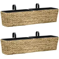 vidaXL Jardinières 2 pcs Jacinthe d'eau