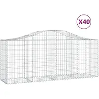 vidaXL Gabions avec arc surélevé 40 pcs. 200x50x80/100cm Fer galvanisé