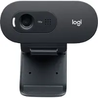Logitech C505e - Webcam - couleur - 720p - Focale fixe - audio - USB