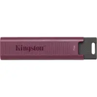 Kingston DataTraveler Max USB type-A 1TB - Clé USB