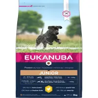 Eukanuba Puppy Large Breeds Chicken 3 kg nourriture sèche pour chiots de grandes races riche en poulet frais