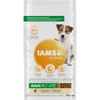 IAMS Adult Small & Medium au poulet pour chien