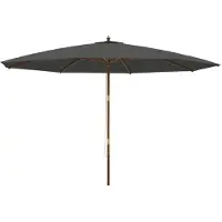 vidaXL Parasol avec mât en bois 400x273 cm couleur anthracite