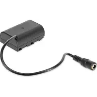 LanParte Adaptateur d'alimentation type batterie BLF19P-01
