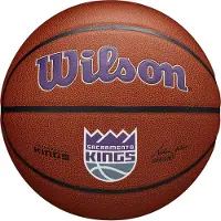 Wilson Mini-ballon de basket r tro NBA Team - Charlotte Hornets